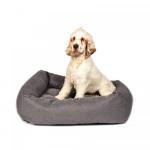 Pet Bedding  Accessories Available at Officestationerycouk 