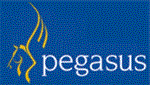 Pegasus banner