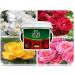 Empathy After Plant Rose Food With Rootgrow 5kg 000216