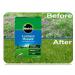 Miracle-Gro Evergreen Mosskill Lawn Food And Moss Control, 2.8Kg, 80m2 000455