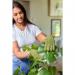 Zero-In Dust and Shine Houseplant Gloves Plant Care Reusable 006015