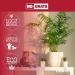 No-Gnats 3 Litre 006189