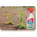 Block Blitz Go Weed Killer 1 litre Trigger Spray 006783