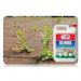 Block Blitz Go Weed Fast Acting Weed Solution 5 Litre 006791
