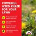 Doff Concentrated Lawn Weedkiller 200ml 007534