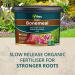 Vitax Bonemeal Slow Release Organic Fertiliser 10kg Resealable Tub 015008