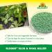 Sluggo Slug & Snail Killer 800g 020727