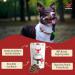 Buffalo Lung Steaks Dog Treat 029199