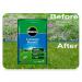 Miracle-Gro Mosskill Lawn Food And Moss Control, 14kg Bag - 400 M2 031120