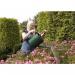 Spear & Jackson Kew Gardens Metal Watering Can 9 Litre 036970
