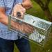 Big Cheese Rat Cage Reusable Rust Resistant Trap (STV075) 046599