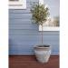 Ronseal 5 Litre Fence Life Plus Paint - Cornflower 051037