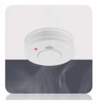 Smartwares Smoke Alarm RM250 Optical Sensor Battery Included 10 Year Sensor Lifetime 060517
