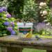 Johnston and Jeff Sunflower Hearts Bird Food Tub 1 x 10L 065821