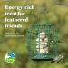 RSPB - Fat Balls for Wild Birds High Energy Suet Balls Made in the UK 1 x 50 Box 069328