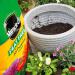 Miracle-Gro Peat Free Premium All Purpose Compost, 50 Litres. 070748
