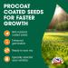 Doff Fast Growing Lawn Seed 1Kg 084160