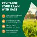 Doff Fast Growing Lawn Seed 1Kg 084160