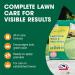 Doff Complete Lawn Feed, Weed & Mosskiller 100 Sq M 3.2Kg 084236