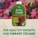 Vitax Liquid Acer Tree Feed Promotes Healthy Leaf & Root Growth 1 Litre Concentrated 089094