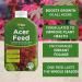 Vitax Liquid Acer Tree Feed Promotes Healthy Leaf & Root Growth 1 Litre Concentrated 089094