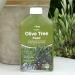 Vitax Olive Tree Liquid Feed Highly Concentrated 1 Litre (Makes 250 Litres) 089136