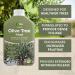 Vitax Olive Tree Liquid Feed Highly Concentrated 1 Litre (Makes 250 Litres) 089136