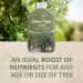 Vitax Olive Tree Liquid Feed Highly Concentrated 1 Litre (Makes 250 Litres) 089136