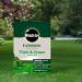 Miracle-Gro EverGreen Premium Plus Thick & Green Lawn Food - 100 m2 089268