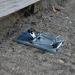 The Big Cheese Galvanised Metal Reusable Ultra Power Mouse Traps 2 Pack 089888