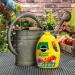 Miracle Gro Concentrated All Purpose Liquid Plant Food - 2.5L 090134