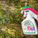 Bugclear Plant Shield Insecticide Free All Year Plant Protection Spray 800ml 090167