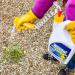 Weedol Path & Gravel Weedkiller With Manual Sprayer, Ready To Use, 3L 091025