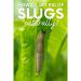 Ecofective Ecf0124 Slug Stoppa Barrier Granules For Slug And Snail Control, 2L 091397
