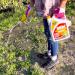 Weedol Rapid Weedkiller With Power Sprayer, Ready To Use, 5L 092270
