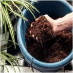 Miracle-Gro Peat-Free Premium Mediterranean & Citrus Plant Compost, 10L 096941