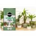 Miracle Gro All Purpose Plant & Grow Suitable for all Plants Litre 096974