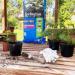 Levington Peat Free John Innes No2 Compost - 10L 097006