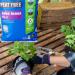 Levington Peat Free John Innes No2 Compost - 10L 097006