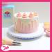 Tala 10 Icing Bags Clear Piping Bags 16.5cm x 31cm Recyclable & Reusable 104695