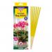 Zero-In Pot Plant Insect Sticks 6pk 108589