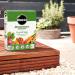 Miracle-Gro Performance Organics Fruit & Vegetables Plant feed Granules 1kg 110429