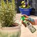 Miracle-Gro Pump & Feed All Purpose Liquid Plant Food 200ml 110486