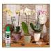 Miracle-Gro Pump & Feed ORCHID Liquid Plant Food 200ml 110494