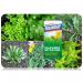 Roundup Powerful Lawn Weed Killer Glyphosate-Free :Highly Concentrated 1 Litre, Blue 110585