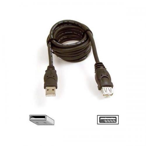 Belkin 6' USB Câble d'extension F3U134-06 