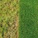 Miracle-Gro Evergreen Complete 4-In-1 Lawn Food Weed & Moss Control 400m2 118364