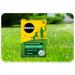 Miracle-Gro Healthy Lawn Food Green in a Week 80m2 118422