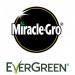 Miracle-Gro Multi Purpose Lawn Seed 5kg 165m2 118471