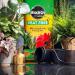 Miracle-Gro Premium Peat-Free Houseplant Potting Mix, 10L 118976